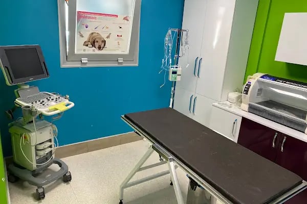 Özlüce Anka Veteriner Kliniği - Resim 2