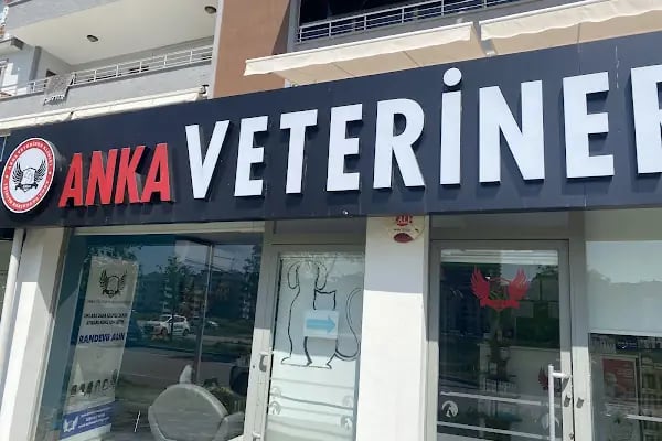Özlüce Anka Veteriner Kliniği - Resim 19