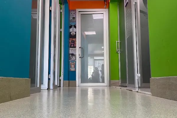 Özlüce Anka Veteriner Kliniği - Resim 6