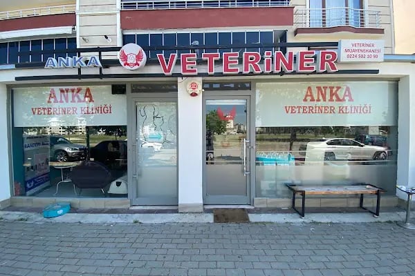 Özlüce Anka Veteriner Kliniği - Resim 17