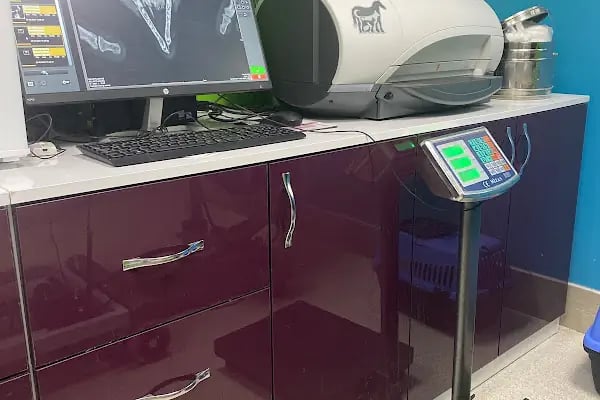Özlüce Anka Veteriner Kliniği - Resim 9