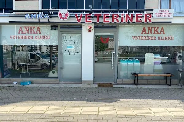 Özlüce Anka Veteriner Kliniği - Resim 14