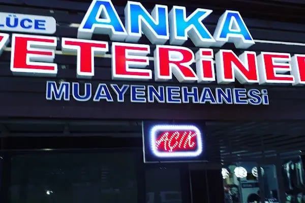 Özlüce Anka Veteriner Kliniği - Resim 3