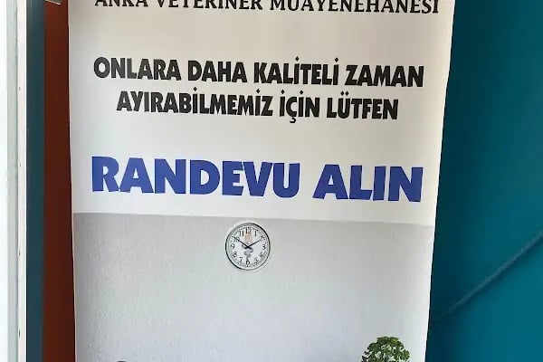 Özlüce Anka Veteriner Kliniği - Resim 13