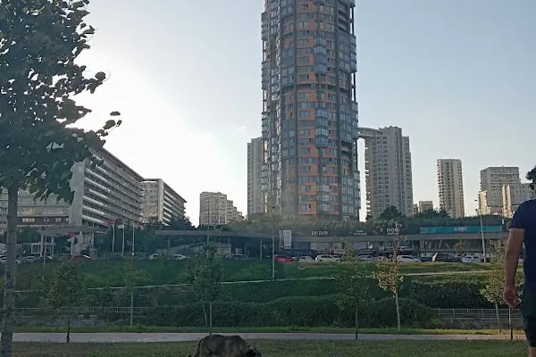 İnanlar Terrace Tema - Resim 5