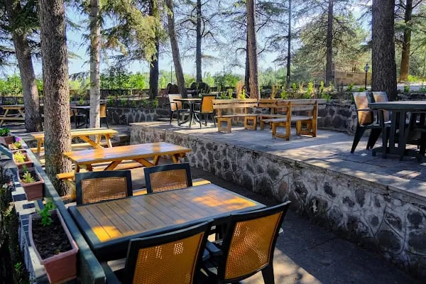 Ayfi FARM - Resim 20