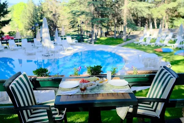 Ayfi FARM - Resim 17