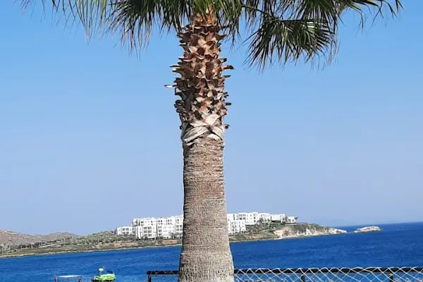 Rüya Kent Sitesi - Resim 17