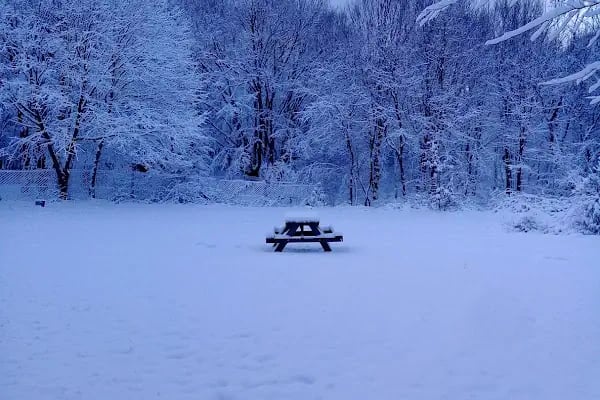 Arnavutköy Şehir Parkı - Resim 15