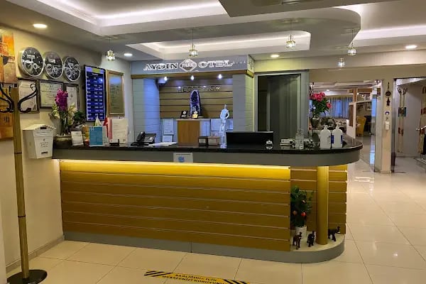 Aydın Park Otel - Resim 8