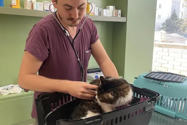 Alisa Veteriner Kliniği - Resim 5