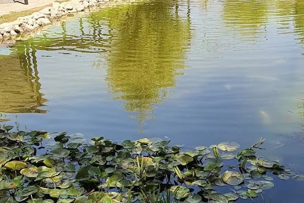 YALINLI PARK - Resim 17