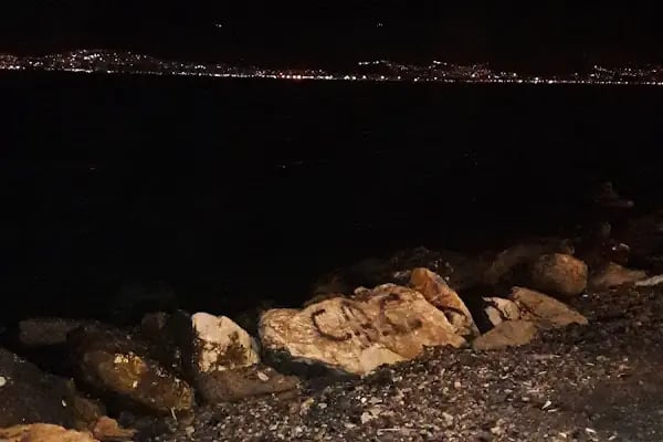 Türkmenoğlu Nakliyat - Resim 19