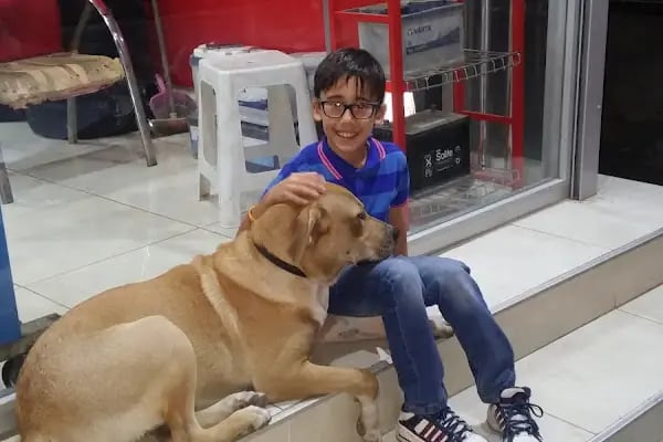 Cem Oto Lastik - Buca, Konak, Alsancak Lastikçi - Resim 3