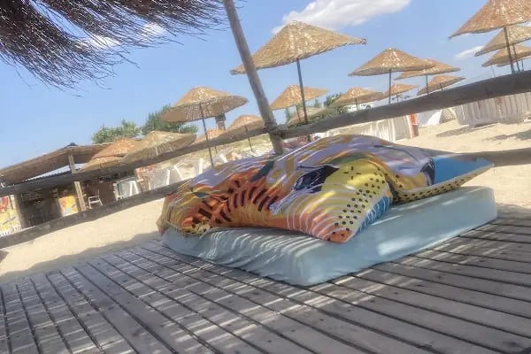 Gala Beach Club - Resim 2