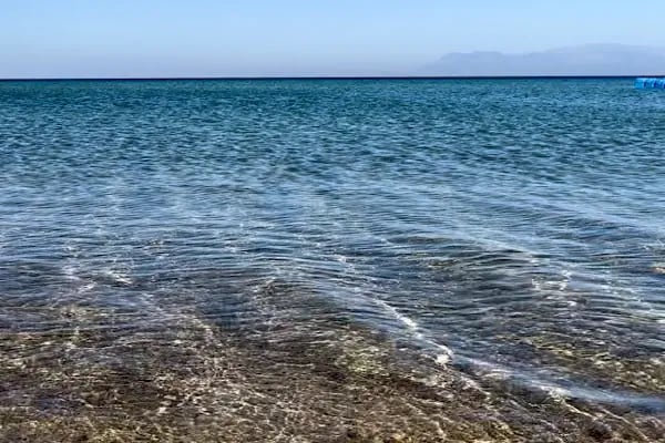 Gala Beach Club - Resim 9