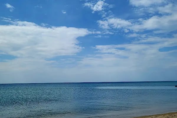 Gala Beach Club - Resim 4
