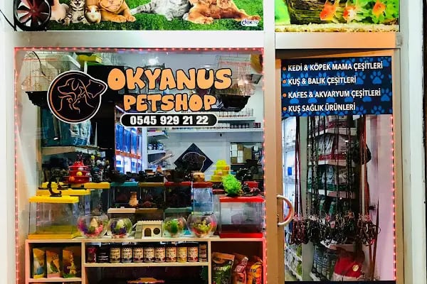 Okyanus Pet Shop - Resim 2