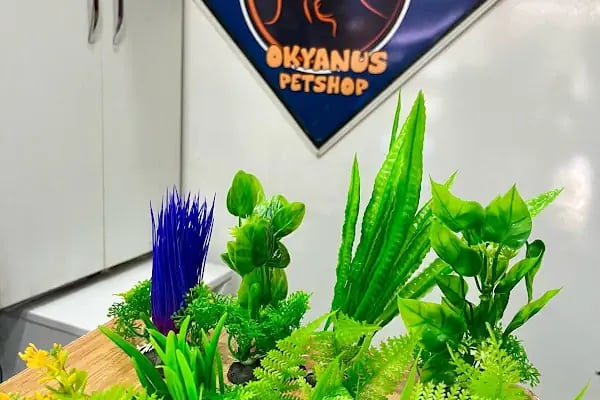 Okyanus Pet Shop - Resim 10