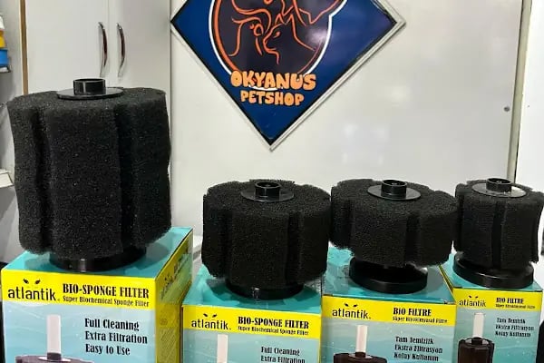 Okyanus Pet Shop - Resim 8