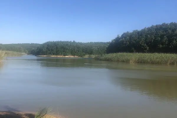 Kapaklı İlçe Yeni Mezarlığı - Resim 12