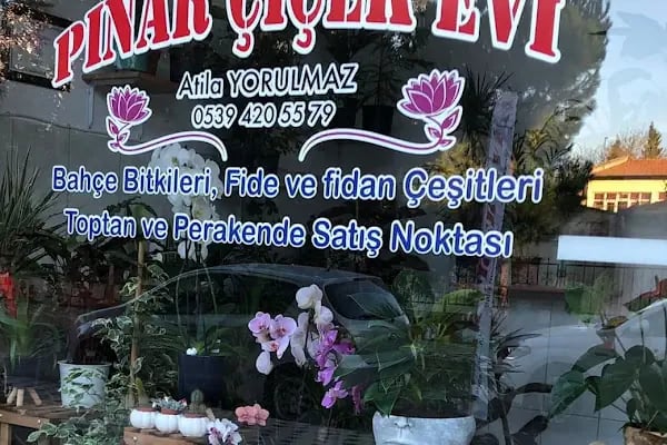 Pınar Çiçek Evi - Resim 2