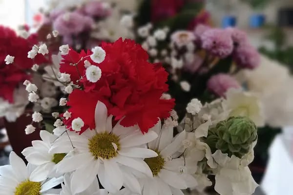 Pınar Çiçek Evi - Resim 16