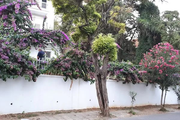 Lider Maden Sitesi - Resim 13