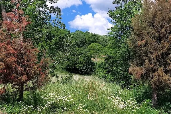 Büyükorhan - Resim 18