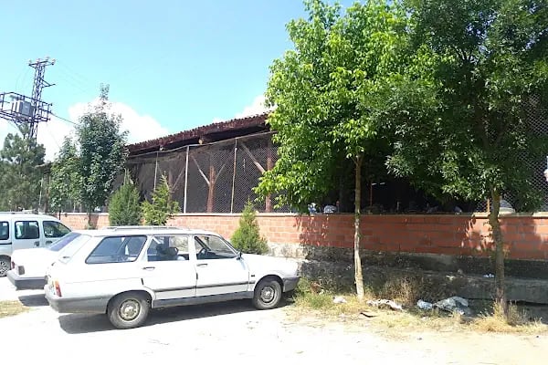 Büyükorhan - Resim 5