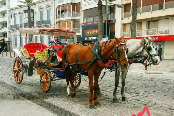 T.C. Sosyal Güvenlik Kurumu Başkanlığı İzmir Sosyal Güvenlik İl Müdürlüğü Kordon Sağlık Sosyal Güvenlik Merkezi (Reçete Kabul Birimi) - Resim 18