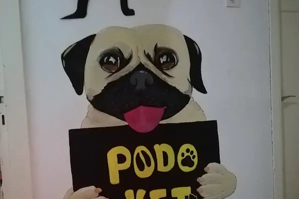 PODO VET VETERİNER KLİNİĞİ - Resim 7
