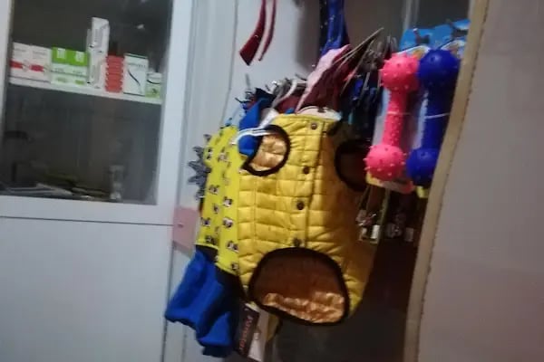 PODO VET VETERİNER KLİNİĞİ - Resim 11
