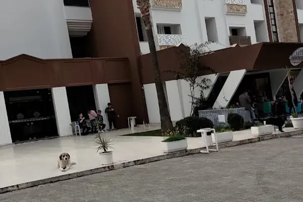 Üçyol Cafe &amp; Bar - Resim 11
