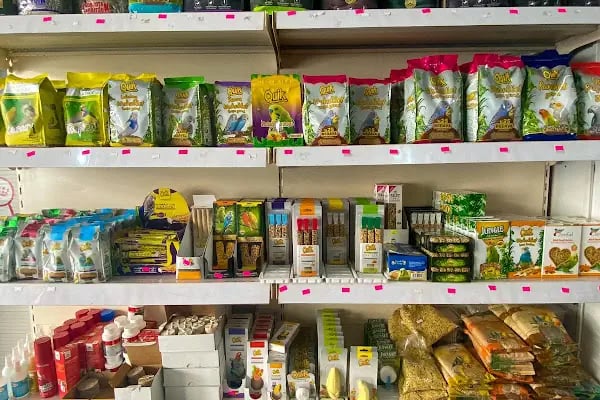 Arnavutköy Akvaryum - Resim 17