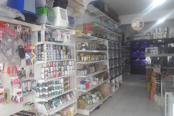 Arnavutköy Akvaryum - Resim 8
