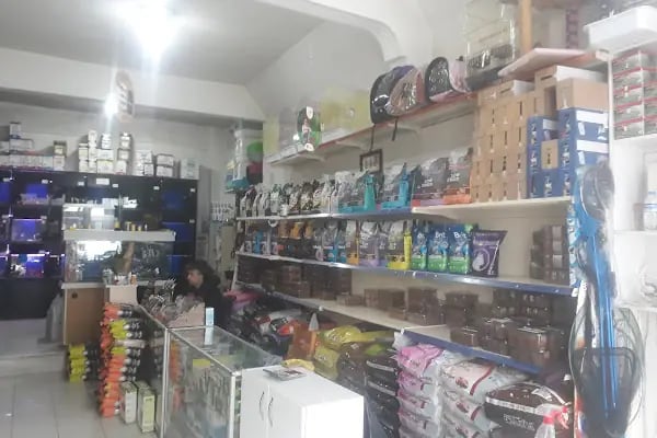 Arnavutköy Akvaryum - Resim 5