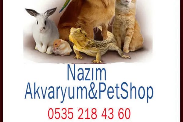 Nazım Akvaryum PetShop - Resim 13