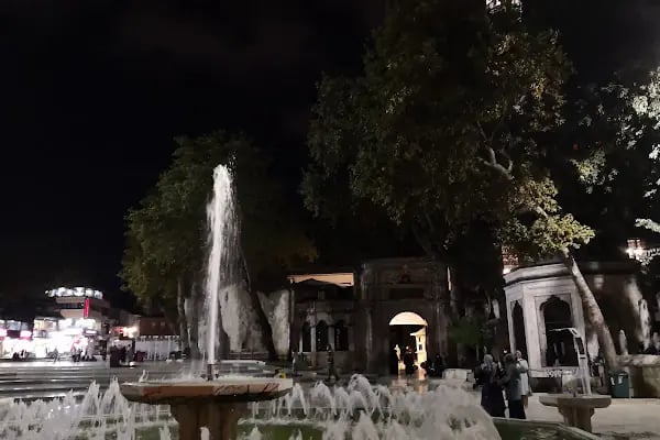 Siyavuş Paşa Türbesi - Resim 14