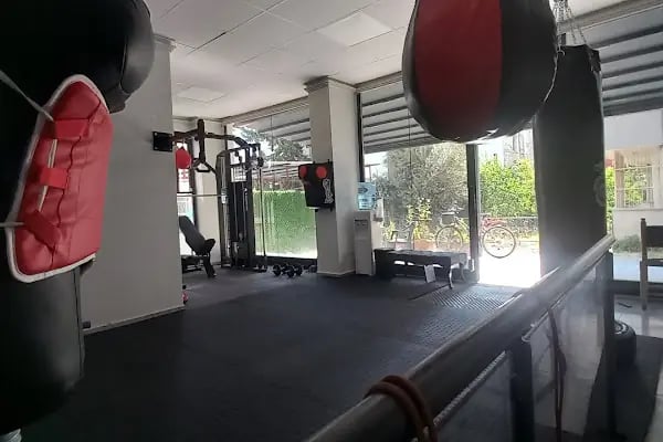 Adana Kick Box - Aykol Spor Klubü - Resim 12