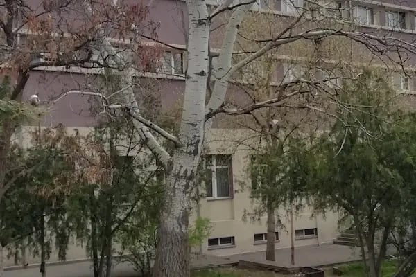Ankara Üniversitesi Ziraat Fakültesi Bahçe Bitkileri Bölümü - Resim 3
