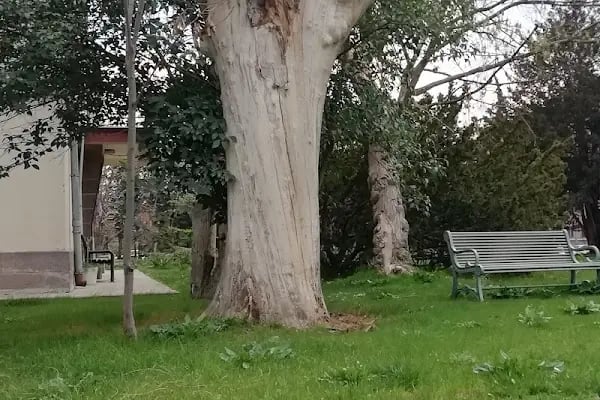 Ankara Üniversitesi Ziraat Fakültesi Bahçe Bitkileri Bölümü - Resim 7