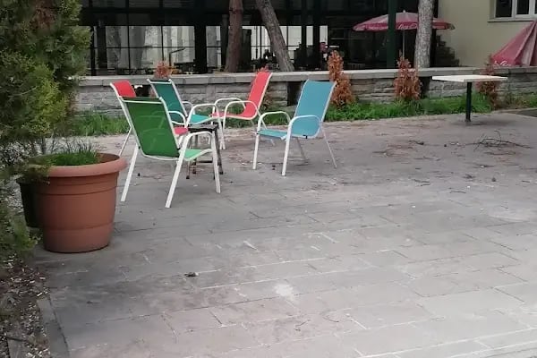 Ankara Üniversitesi Ziraat Fakültesi Bahçe Bitkileri Bölümü - Resim 14