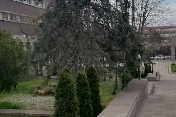 Ankara Üniversitesi Ziraat Fakültesi Bahçe Bitkileri Bölümü - Resim 5