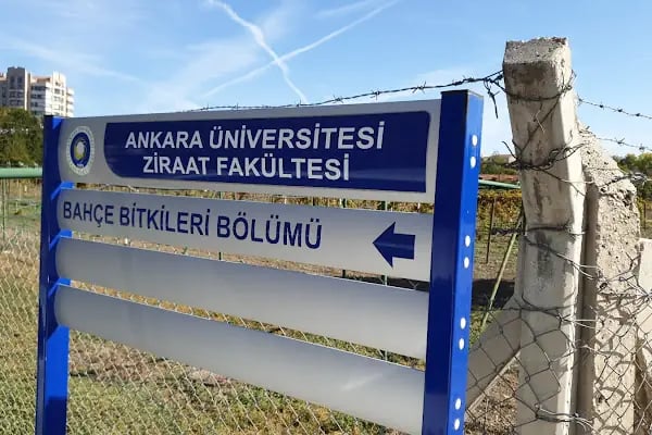 Ankara Üniversitesi Ziraat Fakültesi Bahçe Bitkileri Bölümü - Resim 17