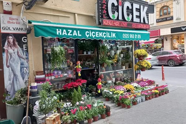 Hazal Cicek - Resim 2