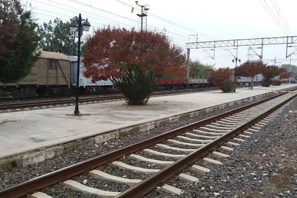 Pehlivanköy Tren İstasyonu - Resim 17
