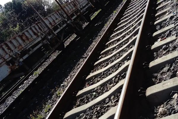 Pehlivanköy Tren İstasyonu - Resim 15