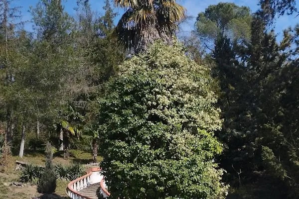 Yalova Termal Kaplıcaları - Resim 19