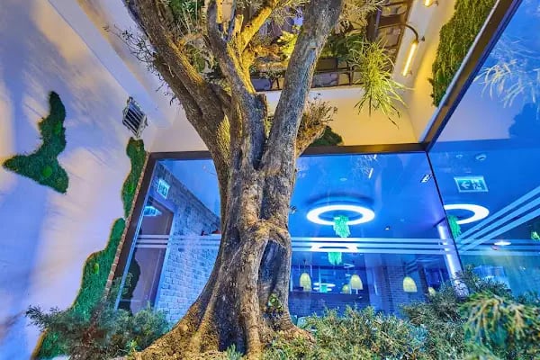 Ibis Istanbul Airport - Resim 9